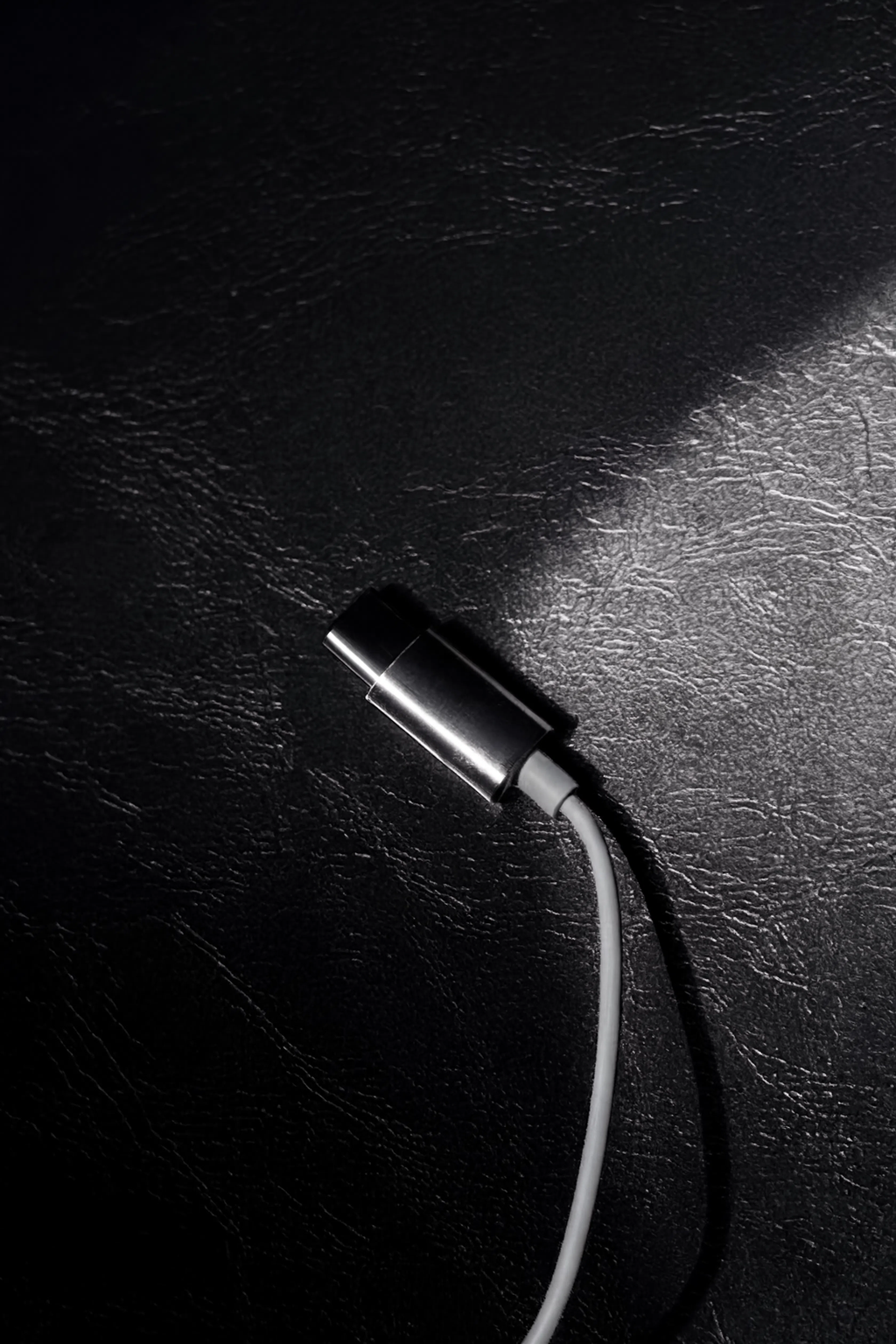 Chrome Wired Earphones