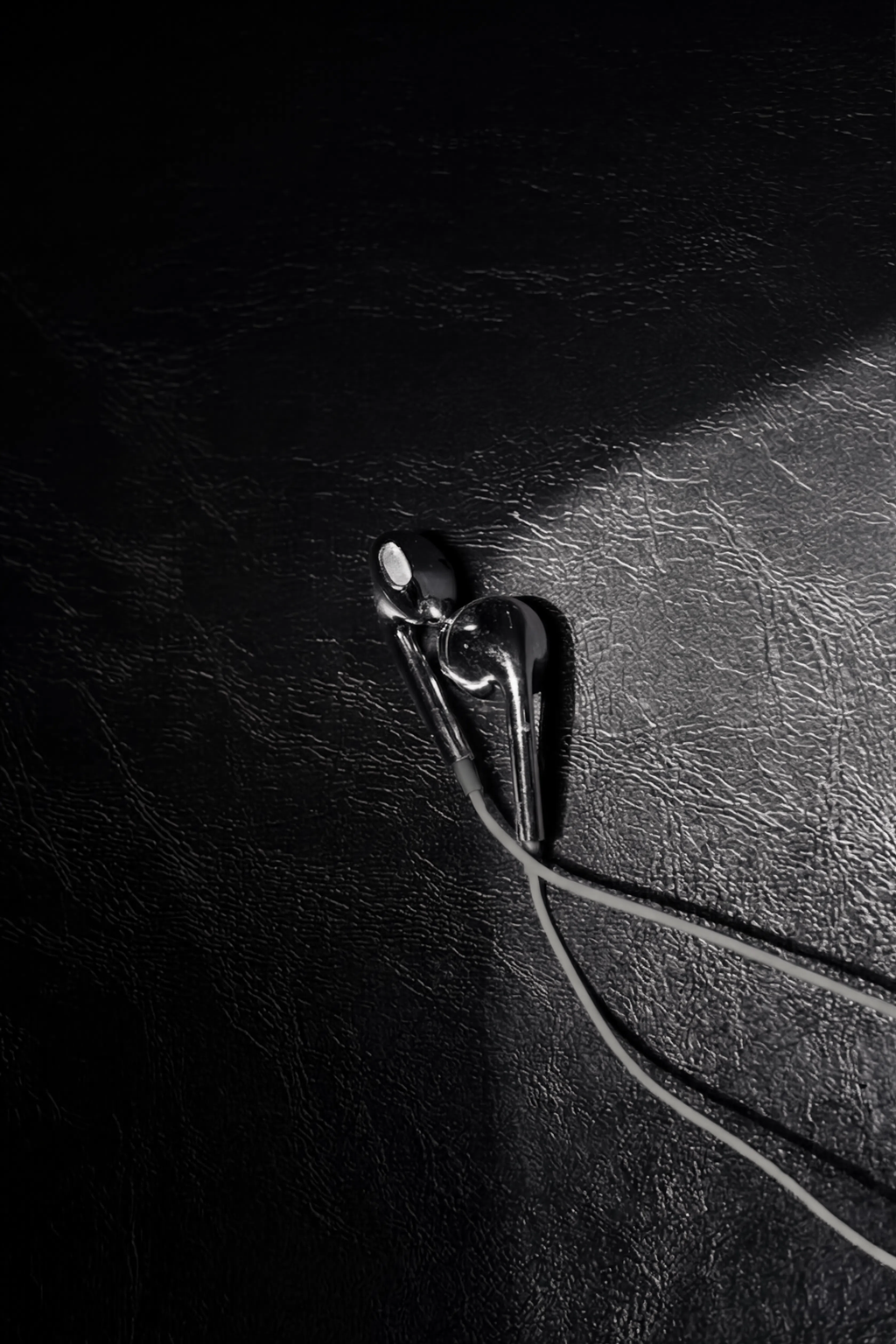 Chrome Wired Earphones