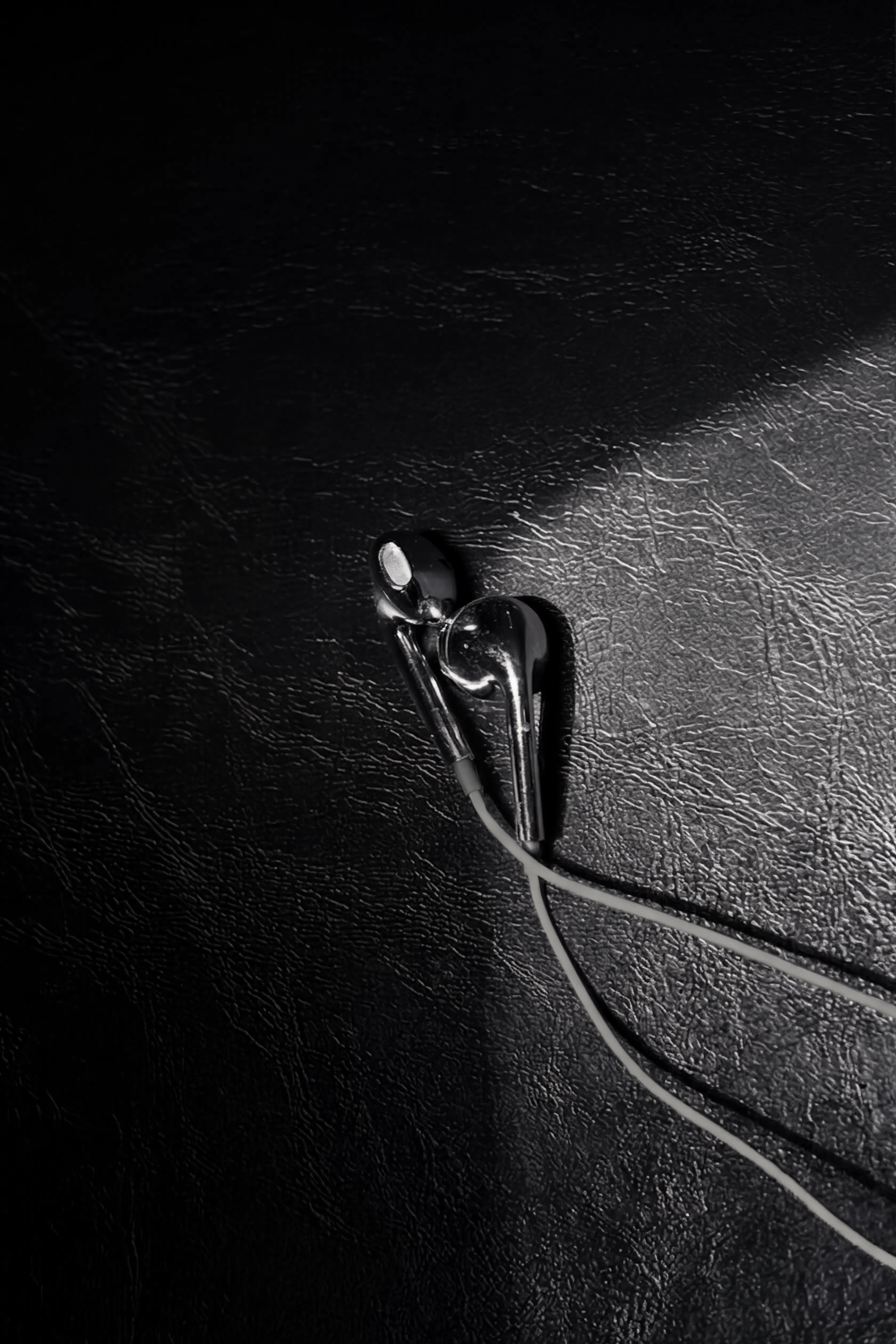 Chrome Wired Earphones