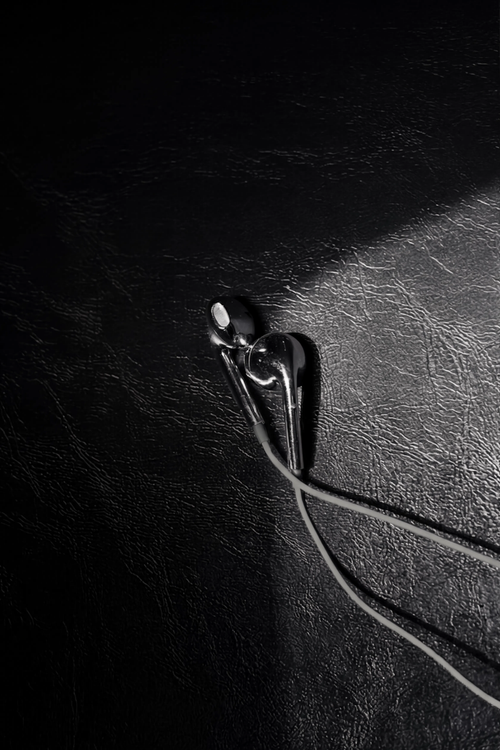 Chrome Wired Earphones